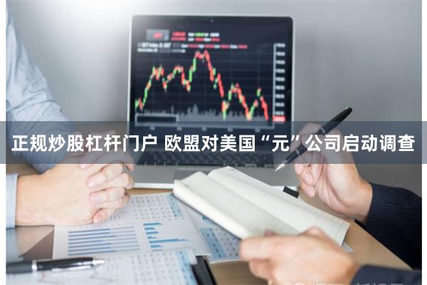 正规炒股杠杆门户 欧盟对美国“元”公司启动调查